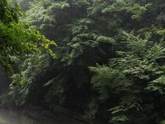 -黎坪国家森林公园