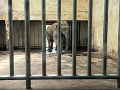 -石家庄市动物园