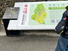 -都江堰中华大熊猫苑