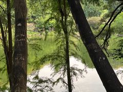 -深圳仙湖植物园