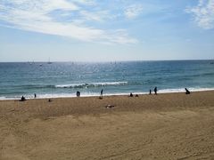 -小巴塞罗那海滩