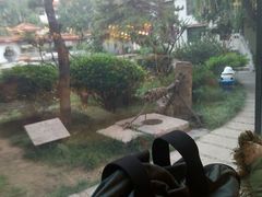 -舜耕山庄四时万和自助餐厅