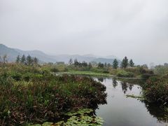 -东钱湖旅游度假区