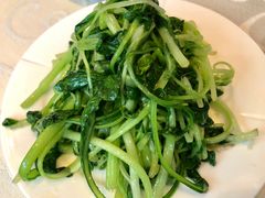 清炒鸡毛菜-京滨饭店·餐厅(阜外大街店)