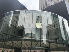 -Apple零售店(新街口店)