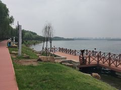 -丁香湖公园