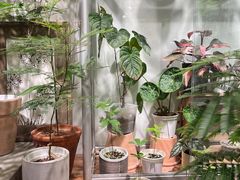 -自由生长植物工作室(深港花卉中心店)