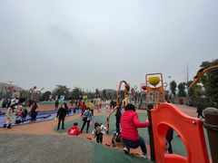 -枫香湖儿童公园