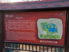 -大兴滨河森林公园