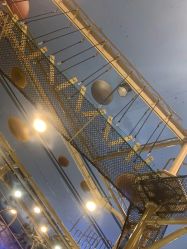 -卡通尼·Safari非洲探索乐园·生日会(金桥国际商业广场店)