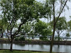-无锡蠡湖国家湿地公园-蠡园