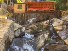 -王顺山国家森林公园