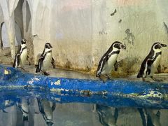 -太平洋海底世界