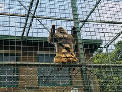 -南京金牛湖风景区