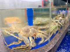 水产区-喜相逢海鲜美食城(五邑平价农副产品批发市场店)