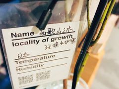 -日上三甘(三里屯店)