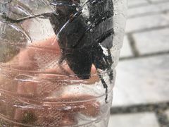 -南通博物苑-崇川人民公园