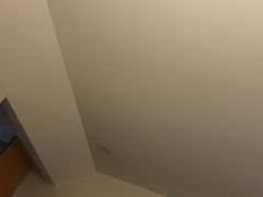 -奥塔哥博物馆