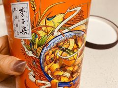 李子柒红油面皮-盒马鲜生(189购物中心店)