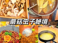 -一朵菌·野生菌探索家火锅(南亚店)