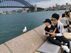 -悉尼歌剧院