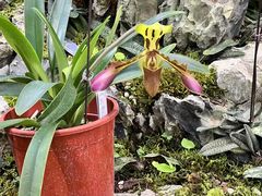 -国家植物园南园