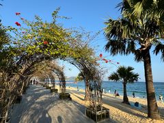 -大梅沙海滨公园