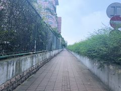 -复旦大学光华楼
