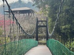 -优游吧斯邹族文化部落