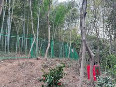 -上海佘山国家森林公园西佘山园