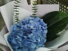 -金陵花卉交易市场