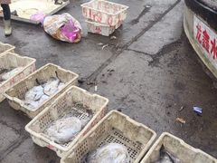 -龙王塘渔港
