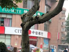 -悠仙美地(黄埔路店)