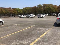 -安飞驰驾校·学车连锁(金高店)