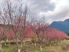 -福清灵石山国家森林公园
