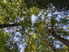 -习家池