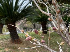 -白塘生态植物园