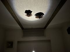 -Dragonfly悠庭·按摩Spa(浦东嘉里城店)