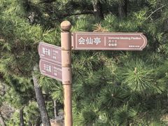 -石老人观光园