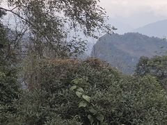 -青城山