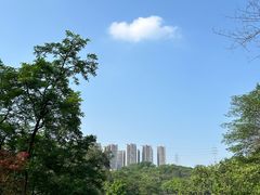 -重庆彩云湖湿地公园
