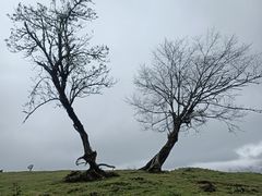 -硗碛藏寨·神木垒景区