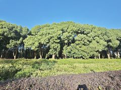 -水上明月·湖景餐厅