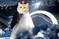 点击看大图 -MANLI BRIDAL婚纱