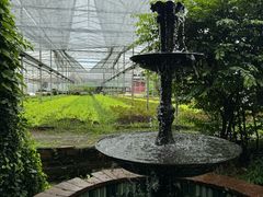 -Ohkajhu Organic Farm Sansai
