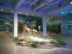 -自贡恐龙博物馆