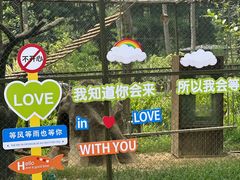 -合肥滨湖国家森林公园