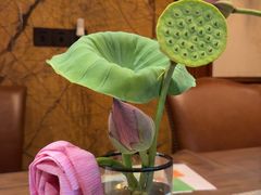 -杨记板栗(天虹总店)