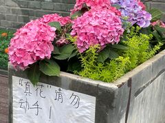 -五道营胡同