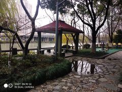 -运河游船(武林门码头)